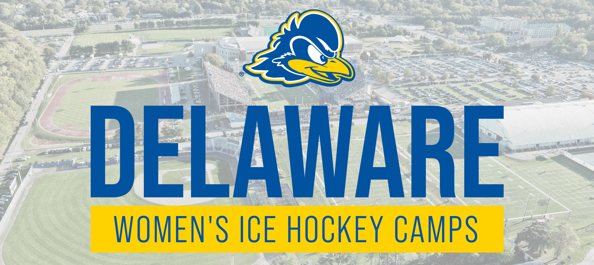 Delaware Women's Hockey Camps